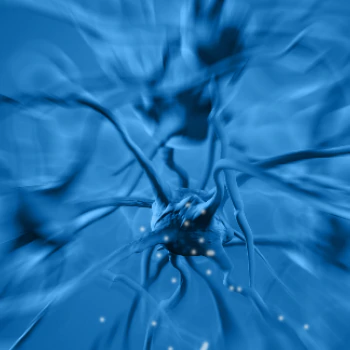 Pierre Fabre R&D Oncology 1