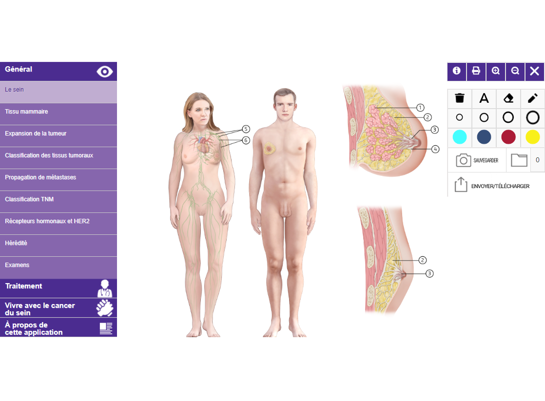 LAtlas Du Cancer Du Sein 5